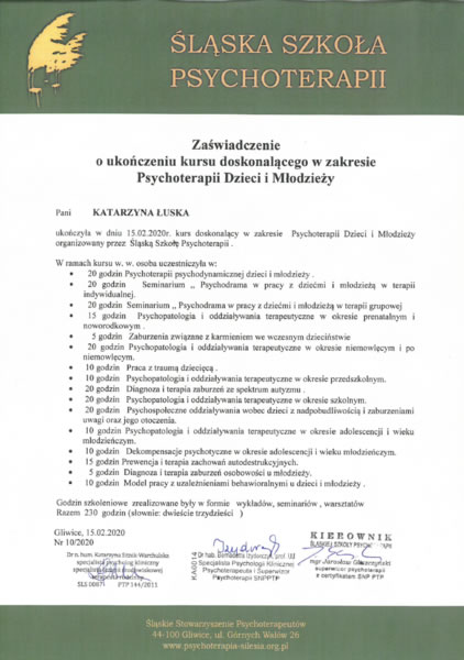 Certyfikat Śląska Szkoła Psychoterapii ukończenie kursu psychoterapii dzieci i młodzieży